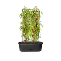 green basics jardiniere treillis 80cm living noir